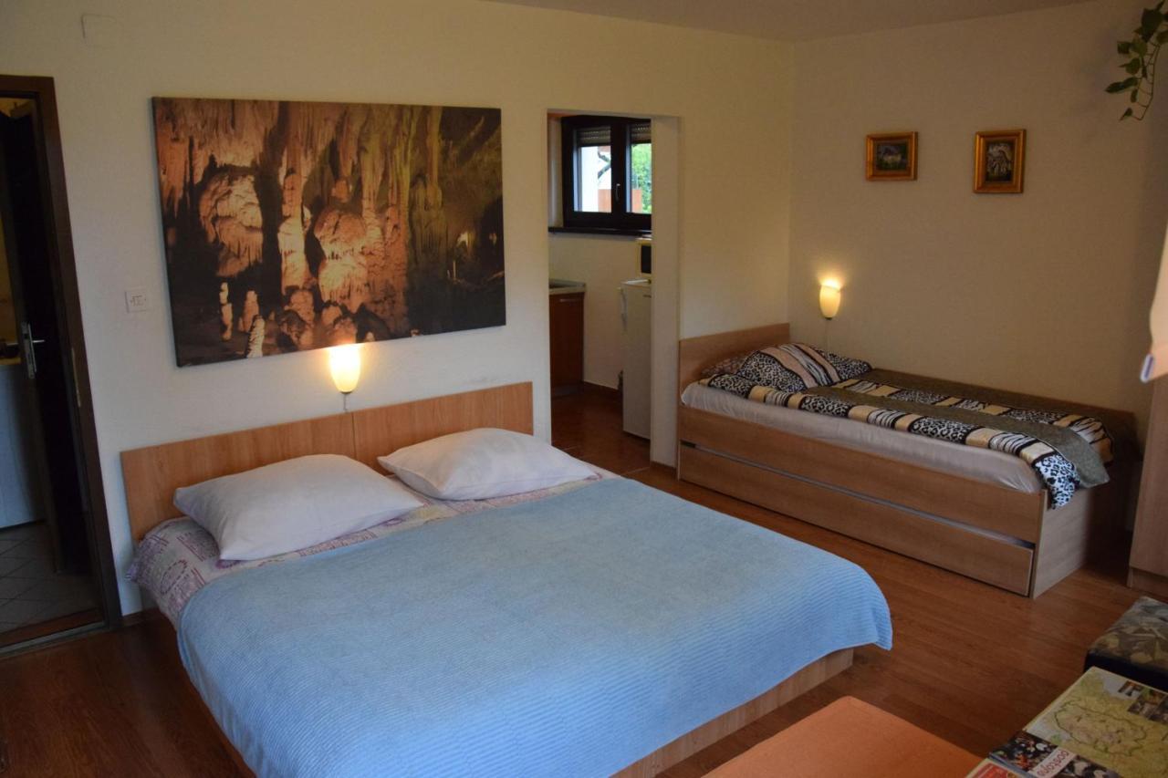 Rooms Ribnikar Postojna Zewnętrze zdjęcie